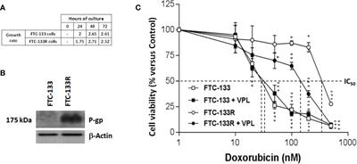 Thrombospondin-1 Receptor CD47 Overexpression Contributes to P-Glycoprotein-Mediated Multidrug Resistance Against Doxorubicin in Thyroid Carcinoma FTC-133 Cells